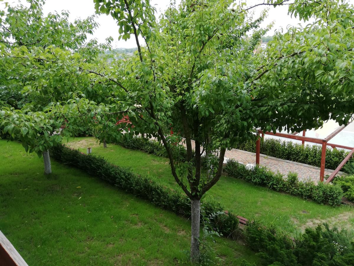 Grace Villa Codru Exterior foto